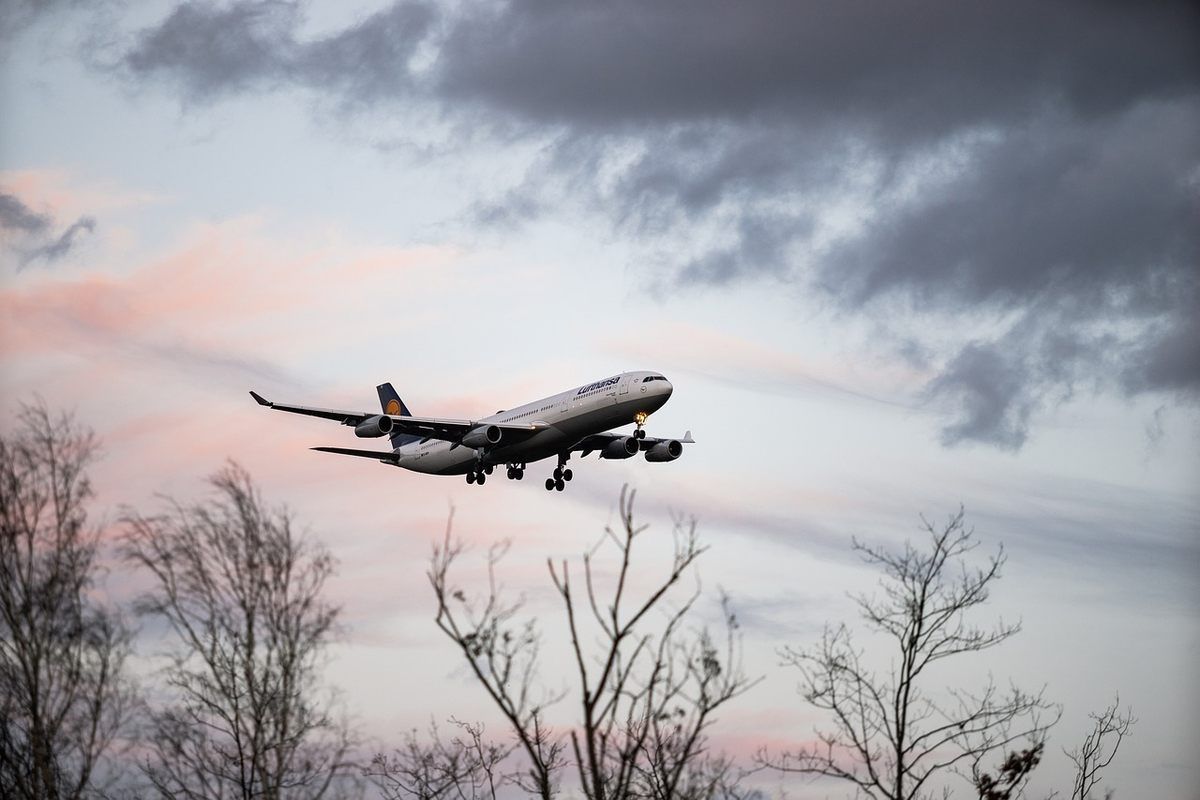Avion en approche finale au-dessus d'arbres dénudés sous ciel gris